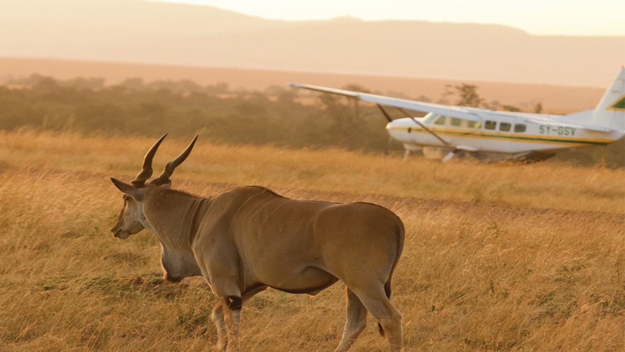 Fly-in Safari — East Africa
